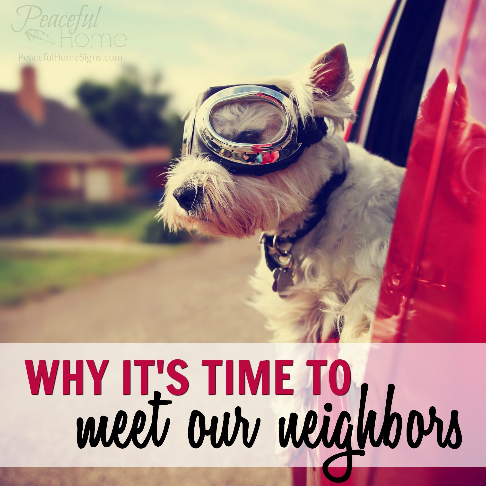 Why it’s time to meet our neighbors