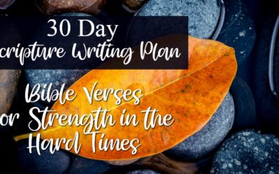 Bible Verses for Strength in the Hard Times